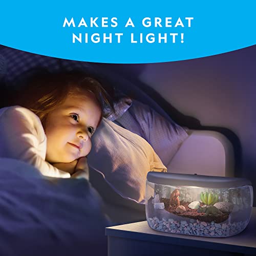 Light Up Dinosaur Terrarium Kit for Kids