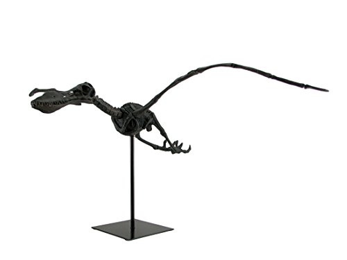 Zeckos Museum Mounted Pterosaur Flying Dinosaur Fossil Replica Statue