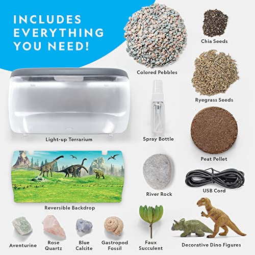 Light Up Dinosaur Terrarium Kit for Kids