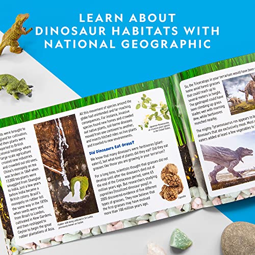 Light Up Dinosaur Terrarium Kit for Kids