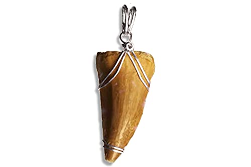 Mosasaurus Tooth Pendant, Sterling Silver Dino Jewelry