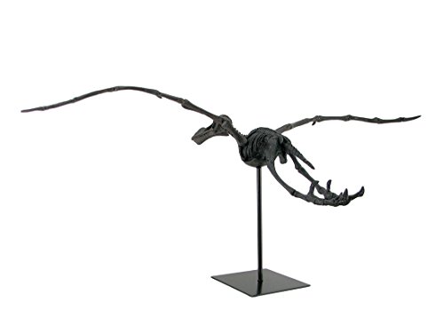 Zeckos Museum Mounted Pterosaur Flying Dinosaur Fossil Replica Statue