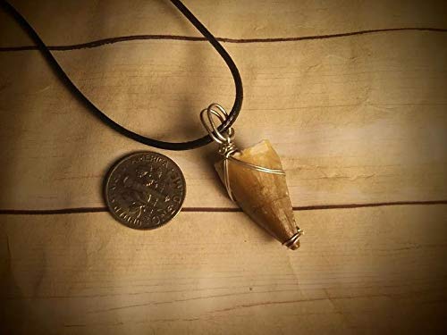 Mosasaurus Tooth Pendant, Sterling Silver Dino Jewelry
