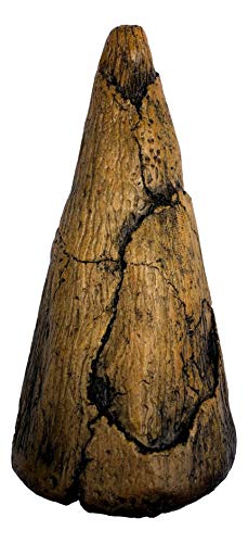 Museum Quality Iguanodon Thumb Spike Replica