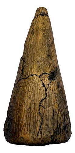 Museum Quality Iguanodon Thumb Spike Replica