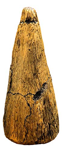 Museum Quality Iguanodon Thumb Spike Replica