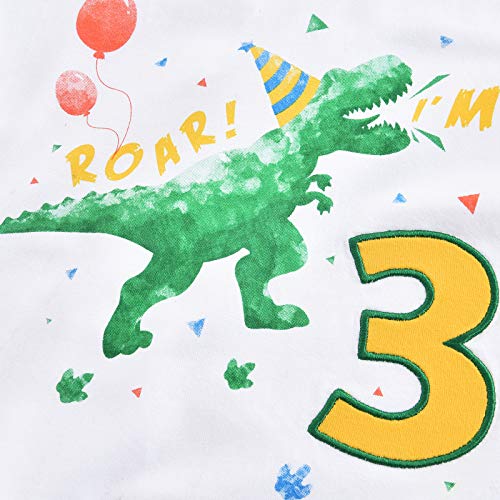 3 Year Old Dinosaur Birthday Shirt