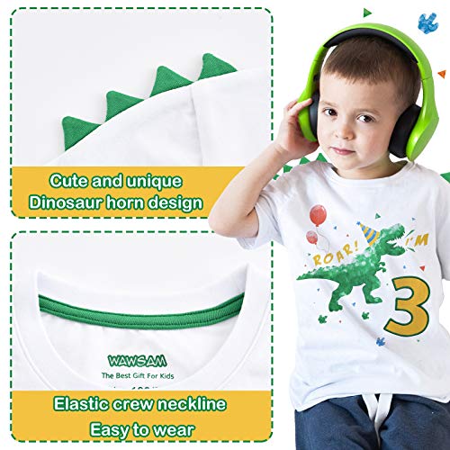 3 Year Old Dinosaur Birthday Shirt