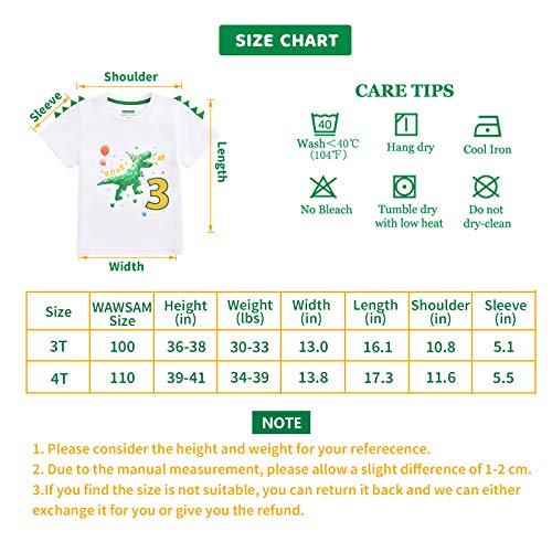3 Year Old Dinosaur Birthday Shirt