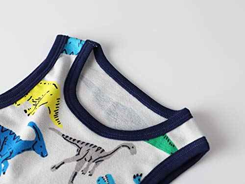 HUAER& Toddler Boys' 2-3 Pack Tank Tops (Dinosaur, 2T)