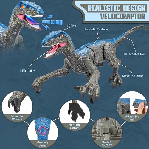 Remote Control Dinosaur for Kids Boys Girls,2.4G Electronic RC Toys Educational Simulation Velociraptor with 3D Eye Shaking Head & Roaring Sounds,Indoor Toys for 3 4 5 6 7 8 9 10 Year Old Gifts(Gray)