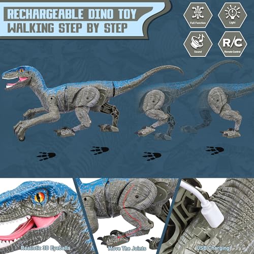 Remote Control Dinosaur for Kids Boys Girls,2.4G Electronic RC Toys Educational Simulation Velociraptor with 3D Eye Shaking Head & Roaring Sounds,Indoor Toys for 3 4 5 6 7 8 9 10 Year Old Gifts(Gray)