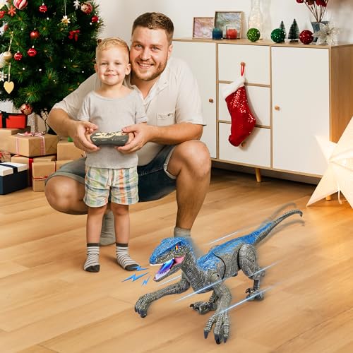 Remote Control Dinosaur for Kids Boys Girls,2.4G Electronic RC Toys Educational Simulation Velociraptor with 3D Eye Shaking Head & Roaring Sounds,Indoor Toys for 3 4 5 6 7 8 9 10 Year Old Gifts(Gray)