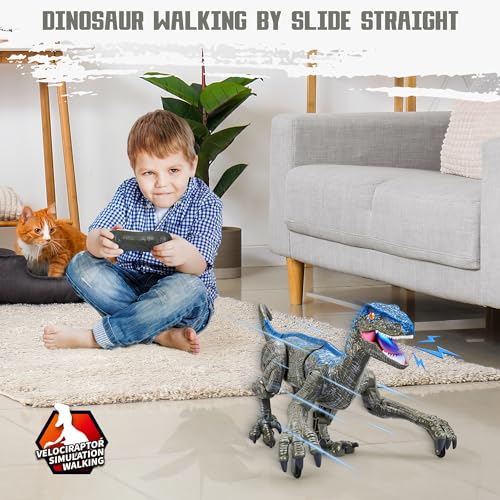 Remote Control Dinosaur for Kids Boys Girls,2.4G Electronic RC Toys Educational Simulation Velociraptor with 3D Eye Shaking Head & Roaring Sounds,Indoor Toys for 3 4 5 6 7 8 9 10 Year Old Gifts(Gray)