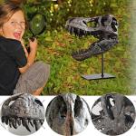 T Rex Skull, Dinosaur Bones Resin Replica Head Sculptures with Bracket Tyrannosaurus Teaching Skeleton Statue Model for Home Office Decor Bookshelf Shelf Display, Holiday Birthday Gift for Adults