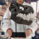T Rex Skull, Dinosaur Bones Resin Replica Head Sculptures with Bracket Tyrannosaurus Teaching Skeleton Statue Model for Home Office Decor Bookshelf Shelf Display, Holiday Birthday Gift for Adults