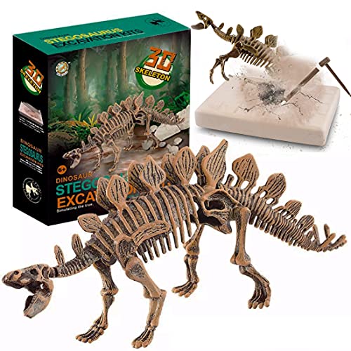 Stegosaurus 3D Fossil Bones Excavation Toy Kit