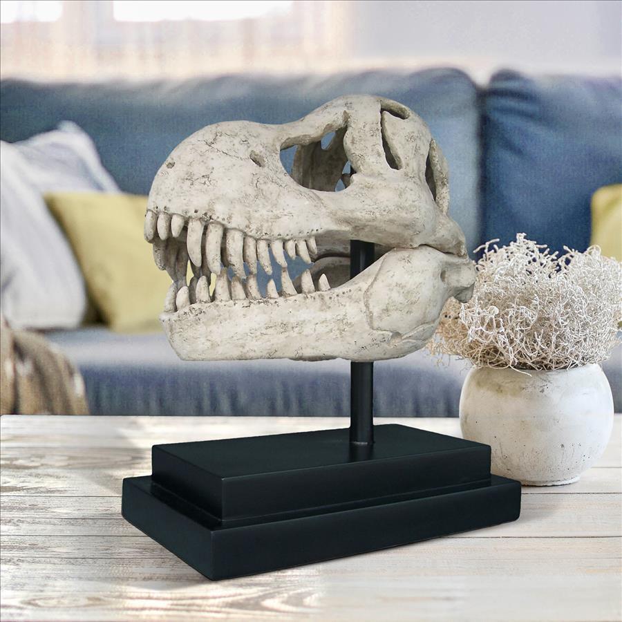 T-Rex Dinosaur Skull Replica for Display