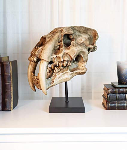 Sabertooth Tiger Skull Statue with Mounting Pole