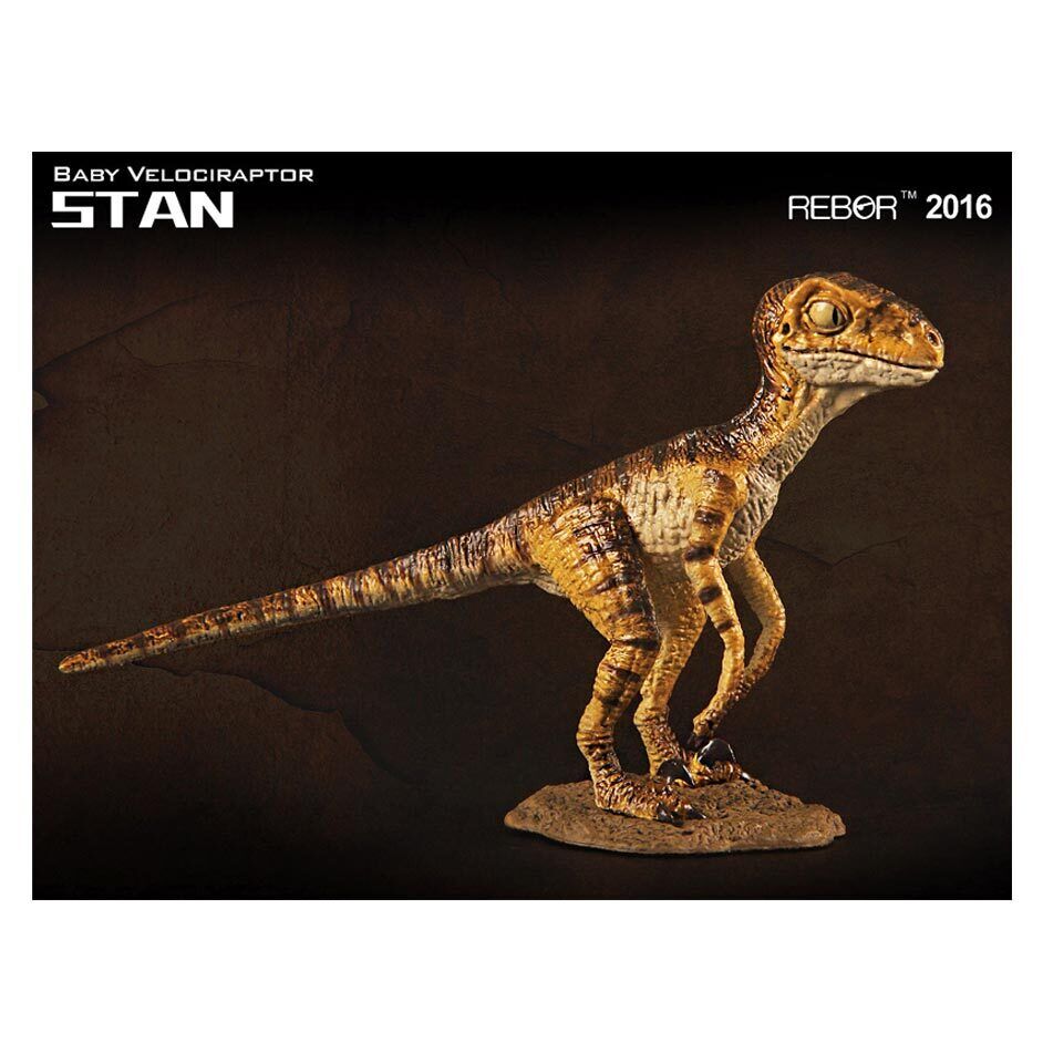 1/18 Scale Museum Class Baby Velociraptor Replica