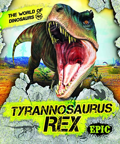 Tyrannosaurus Rex Paperback by Rebecca Sabelko