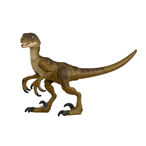 New 2021 Jurassic World Hammond Collection Velociraptor Dinosaur 3.75" Figure