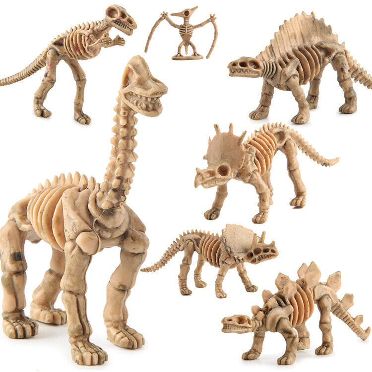12 Unique Dinosaur Fossil Skeleton Figures