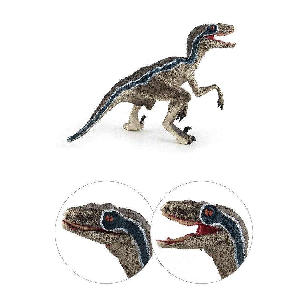 Realistic Velociraptor Dinosaur Figure for Kids