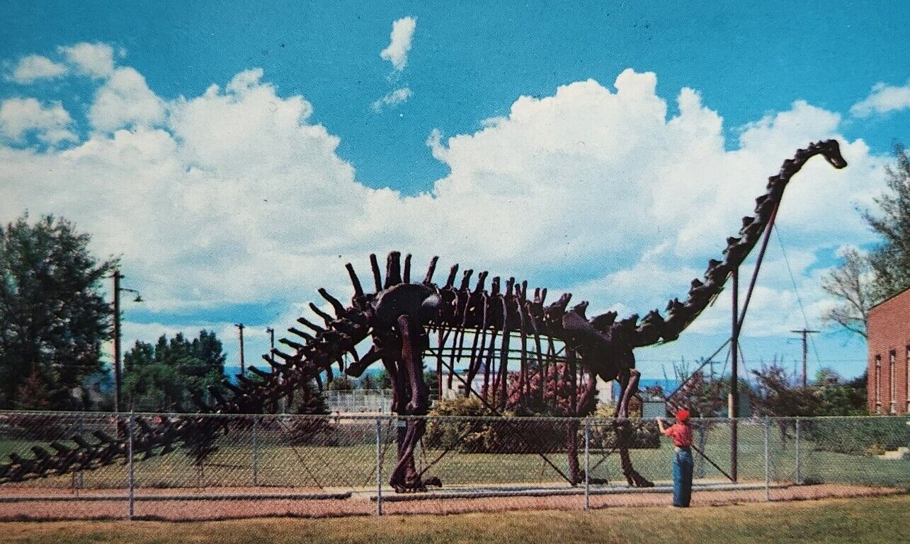 Utah Dinosaur Diplodocus Replica Postcard