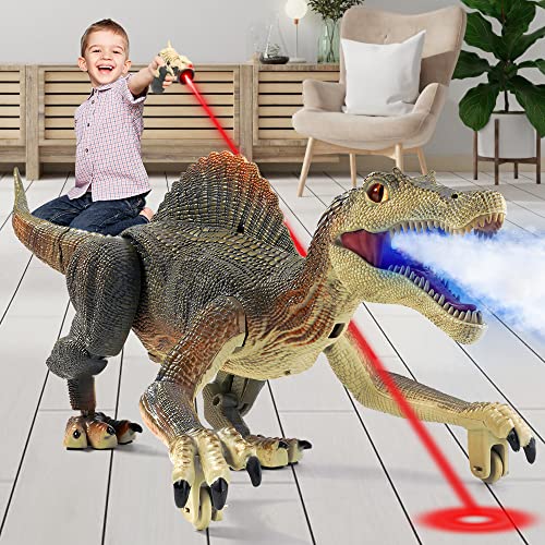 Remote Control Walking Dinosaur Toy with Lights