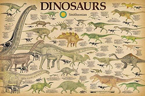 Smithsonian Dinosaur Chart Poster 36x24in