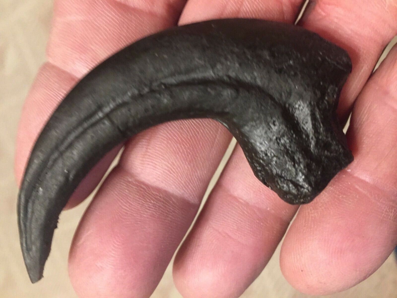 Jurassic Raptor Claw Fossil Replica Dino Relic
