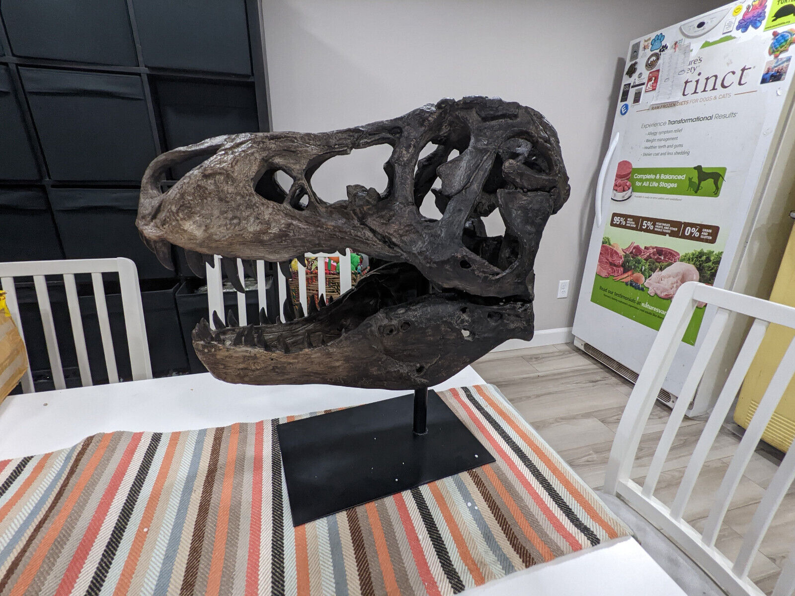 Prehistoric T-Rex Skull Sculpture