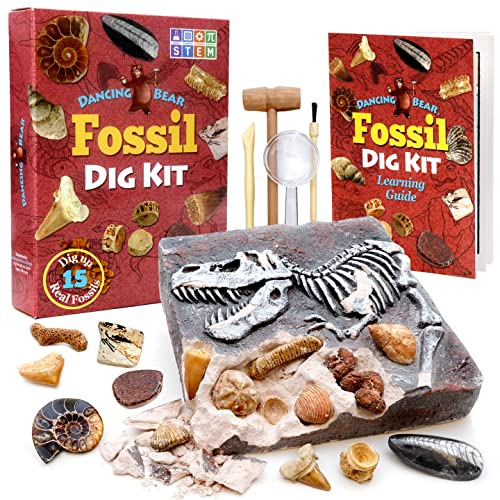 Prehistoric Fossil Dig Kit for Kids