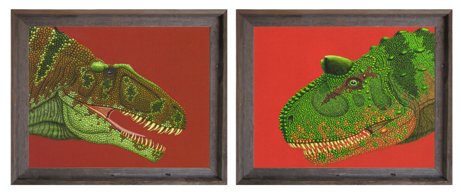 Framed Dinosaur Art Print Set