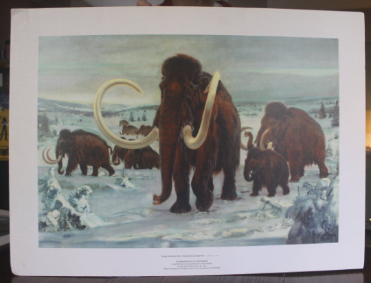 Zdenek Burian's Wooly Mammoth Herd Painting