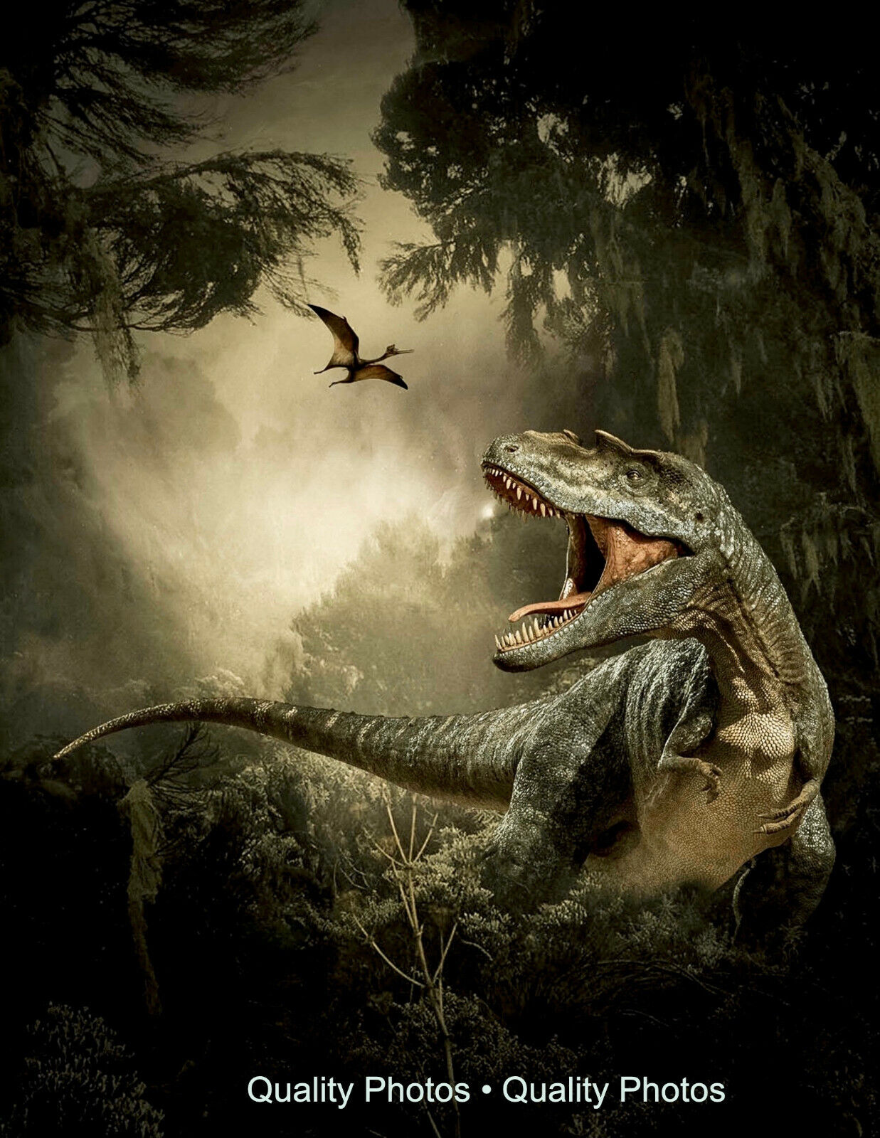 Jurassic T-Rex Photo Print USA