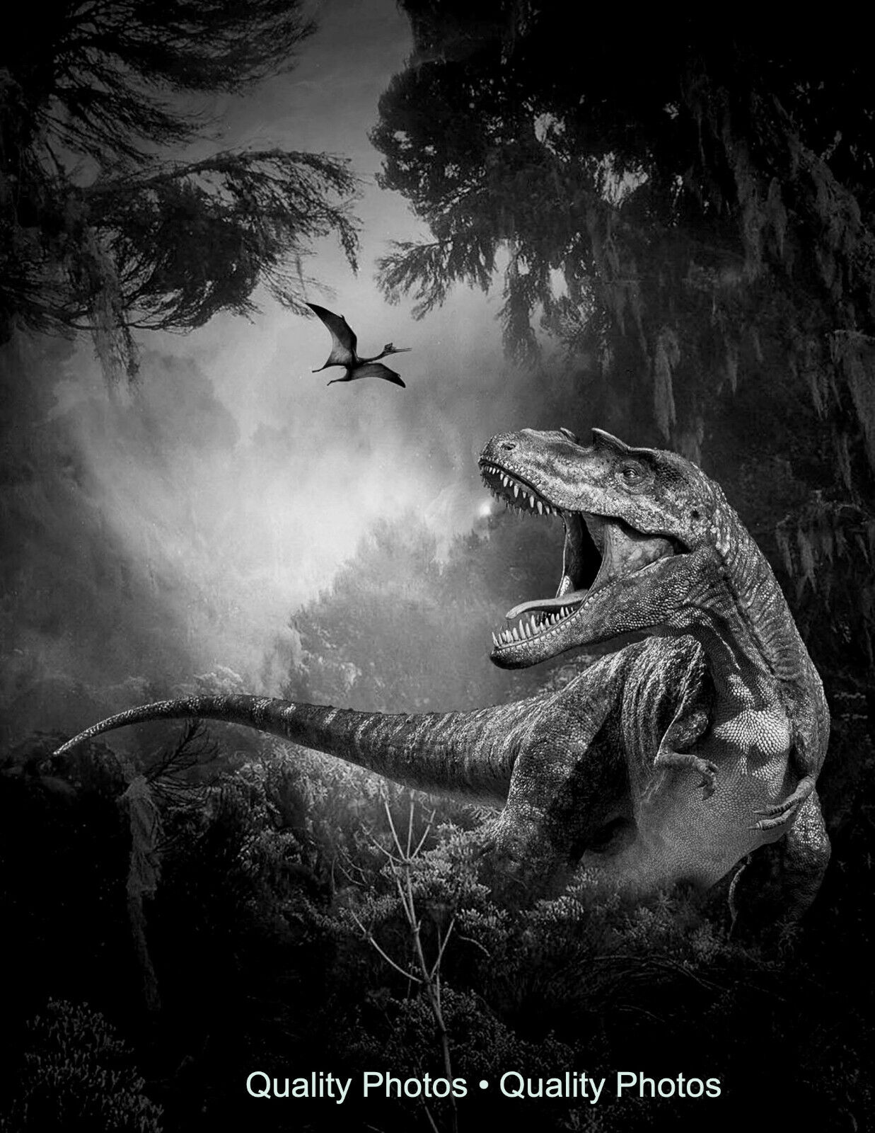 Jurassic T-Rex Dinosaur Photo Print Art