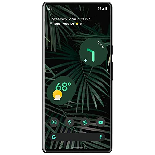 Google Pixel 6 Pro 5G Unlocked 256GB Stormy Black