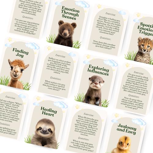 Emotion Explorers Card Set for Self Care and Resilience