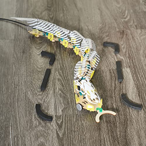 KiwiCo Remote Controlled Snake Robot, Robotics Learning Toy