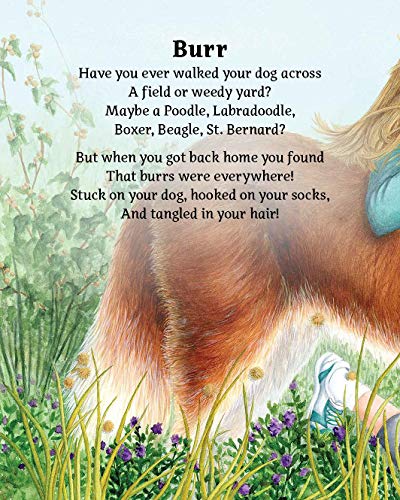 Nature-inspired STEM activities book for young problem solvers