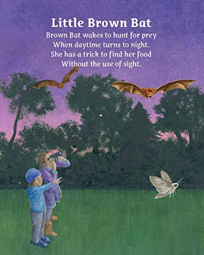 Nature-inspired STEM activities book for young problem solvers