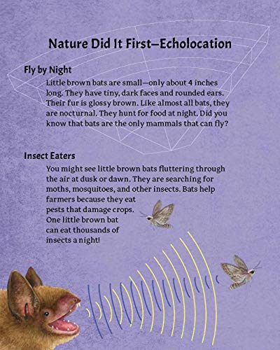 Nature-inspired STEM activities book for young problem solvers