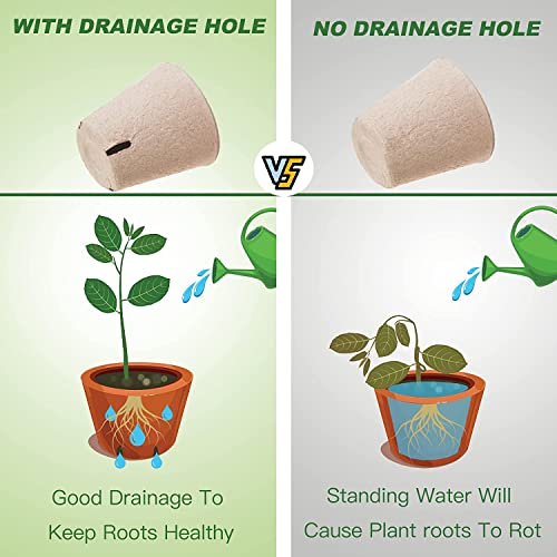 TULIADU 3.15" Biodegradable Seed Pots with Drainage