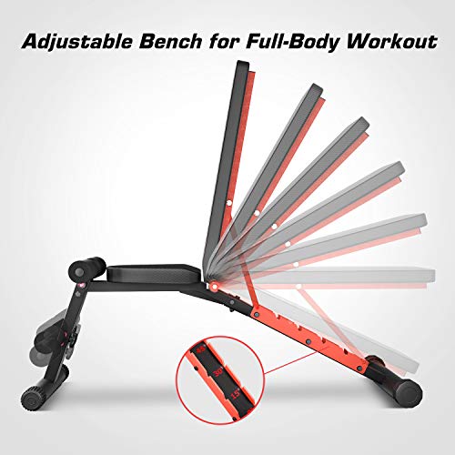 Adjustable Weight Bench for Full Body Exercise, Home Gym
