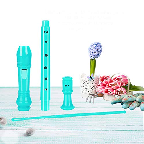 Kids Descant Soprano Recorder with Cleaning Rod and Case