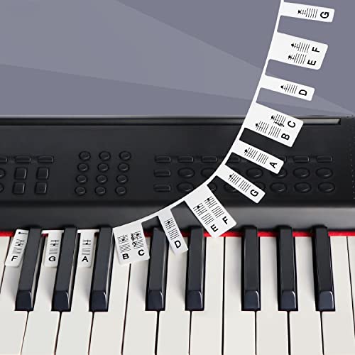 61 Key Piano Keyboard Note Labels for Homeschoolers