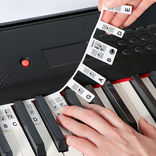 61 Key Piano Keyboard Note Labels for Homeschoolers