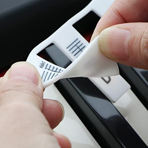 61 Key Piano Keyboard Note Labels for Homeschoolers